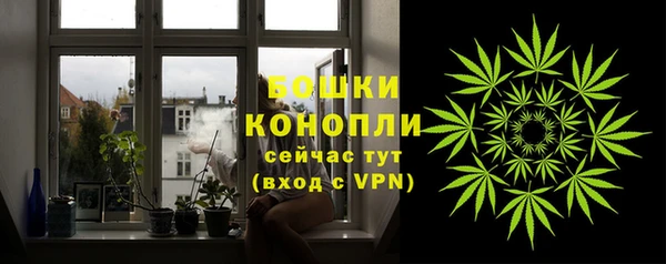 ПСИЛОЦИБИНОВЫЕ ГРИБЫ Дмитровск