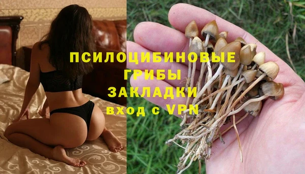 кокаин премиум Ельня